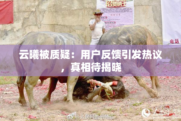 云曦被质疑：用户反馈引发热议，真相待揭晓