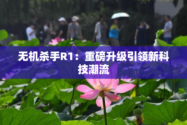 无机杀手R1：重磅升级引领新科技潮流