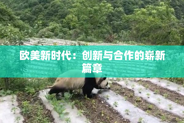 欧美新时代：创新与合作的崭新篇章