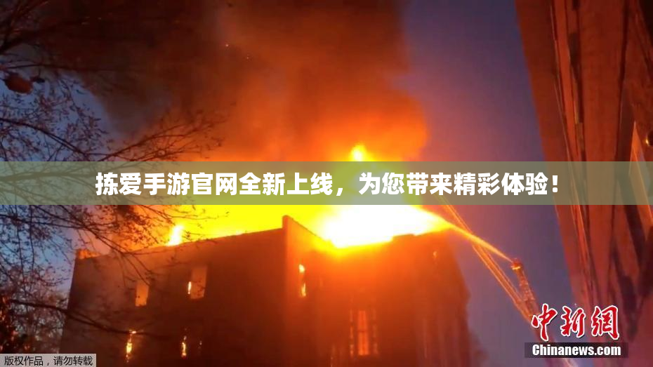 拣爱手游官网全新上线，为您带来精彩体验！