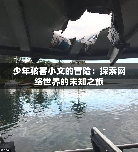 少年骇客小文的冒险：探索网络世界的未知之旅