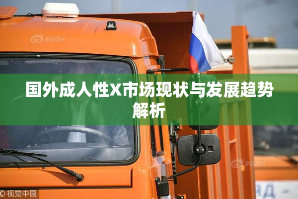 国外成人性X市场现状与发展趋势解析