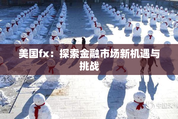 美国fx：探索金融市场新机遇与挑战