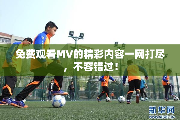 免费观看MV的精彩内容一网打尽，不容错过！
