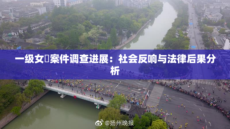 一级女婬案件调查进展：社会反响与法律后果分析