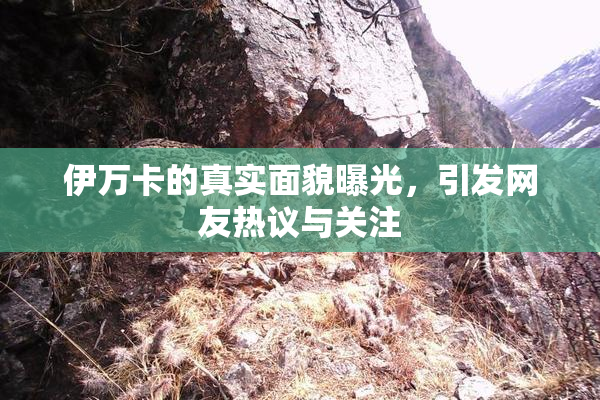 伊万卡的真实面貌曝光，引发网友热议与关注