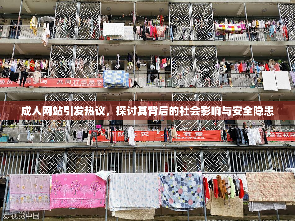 成人网站引发热议，探讨其背后的社会影响与安全隐患