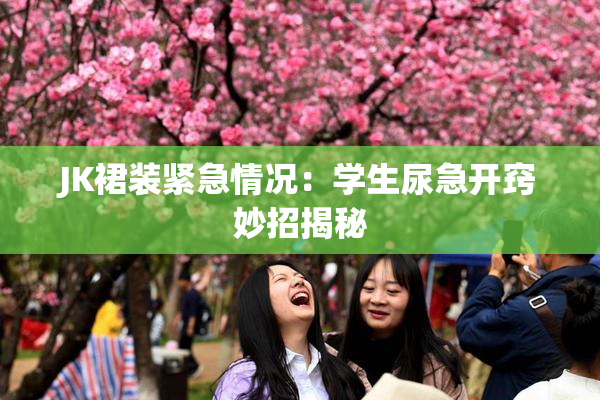 JK裙装紧急情况：学生尿急开窍妙招揭秘