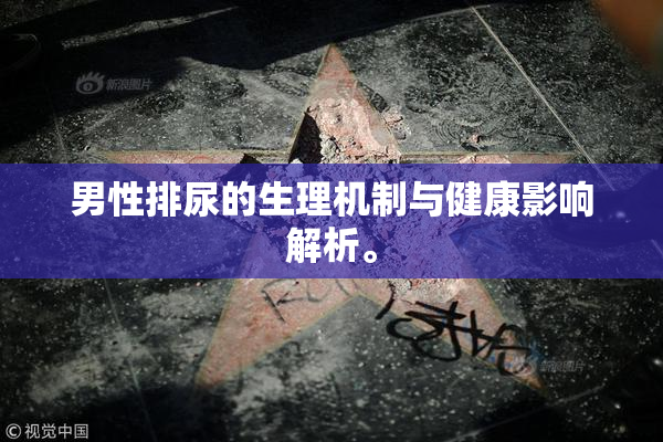 男性排尿的生理机制与健康影响解析。