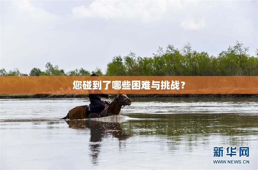 您碰到了哪些困难与挑战？
