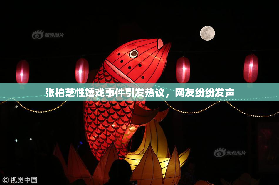 张柏芝性嬉戏事件引发热议，网友纷纷发声