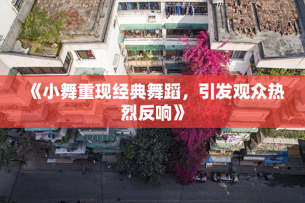 《小舞重现经典舞蹈，引发观众热烈反响》