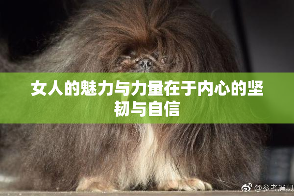 女人的魅力与力量在于内心的坚韧与自信