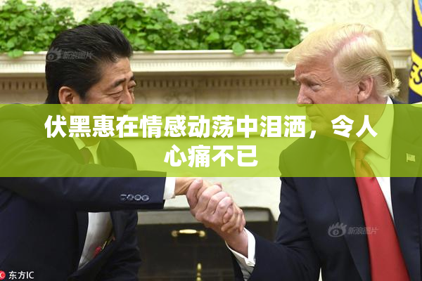 伏黑惠在情感动荡中泪洒，令人心痛不已