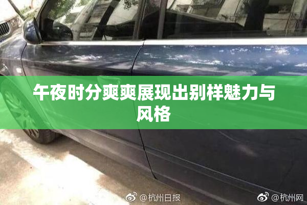 午夜时分爽爽展现出别样魅力与风格