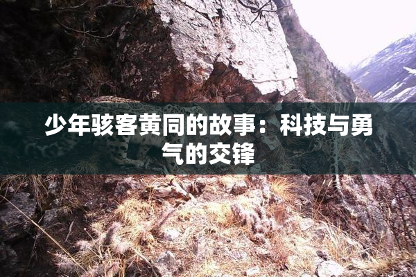 少年骇客黄同的故事：科技与勇气的交锋