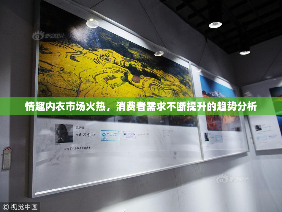 情趣内衣市场火热，消费者需求不断提升的趋势分析