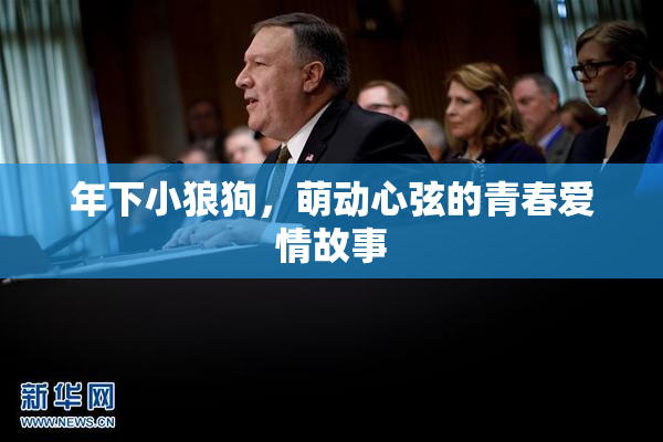 年下小狼狗，萌动心弦的青春爱情故事