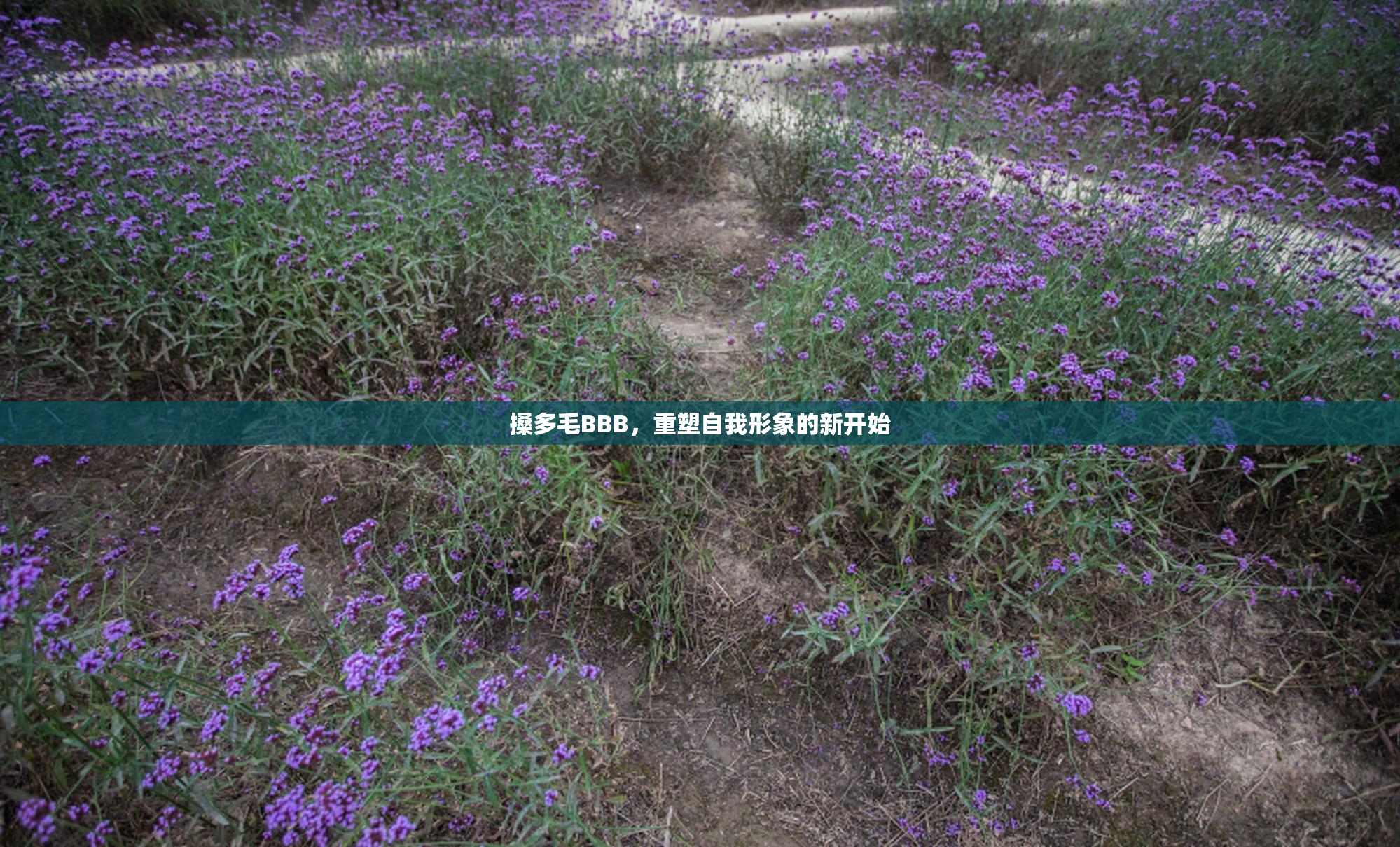 搡多毛BBB，重塑自我形象的新开始
