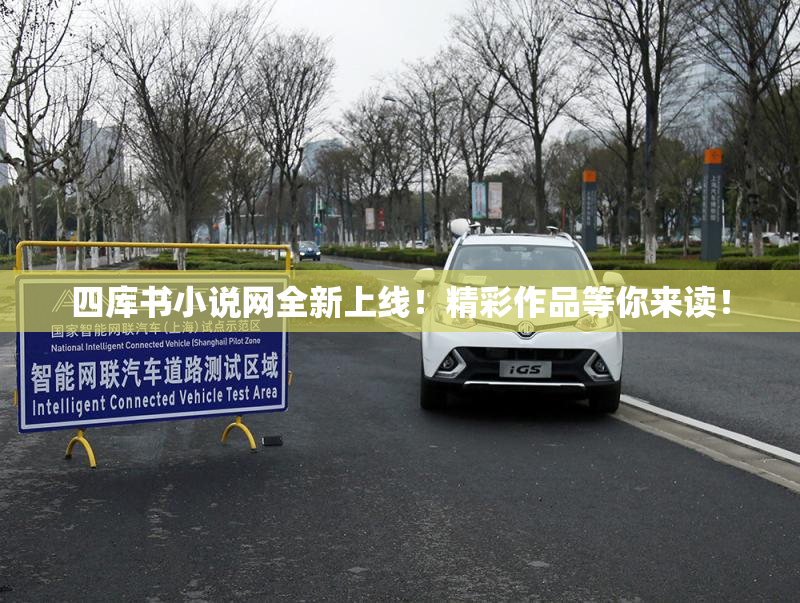 四库书小说网全新上线！精彩作品等你来读！