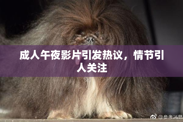 成人午夜影片引发热议，情节引人关注