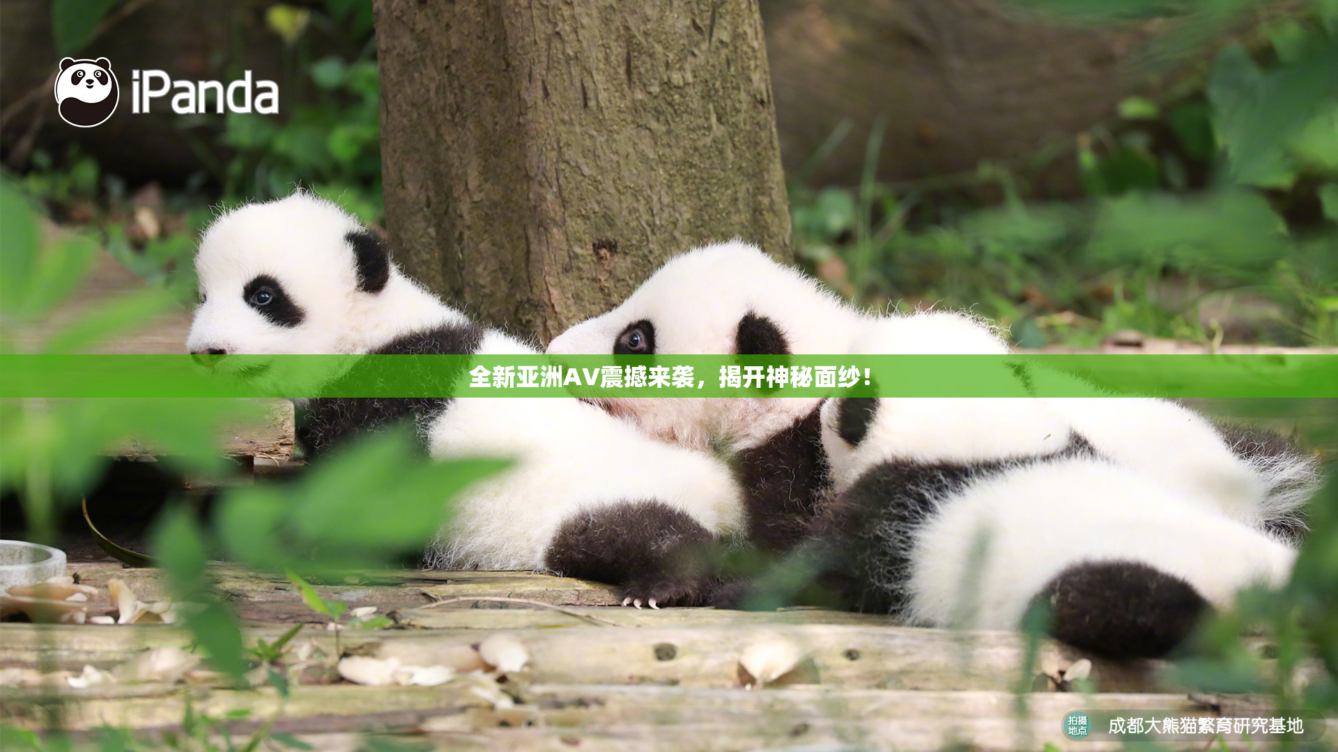 全新亚洲AV震撼来袭，揭开神秘面纱！