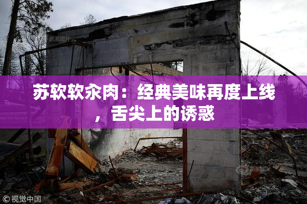 苏软软汆肉：经典美味再度上线，舌尖上的诱惑