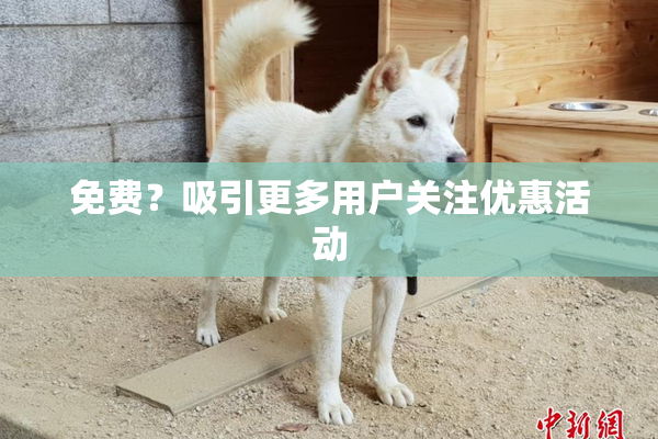 免费？吸引更多用户关注优惠活动