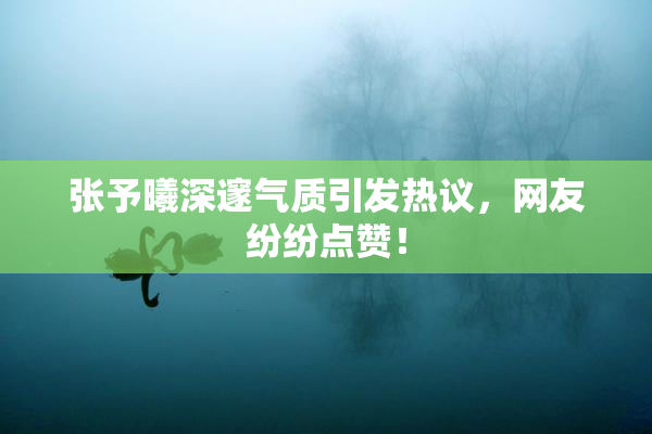 张予曦深邃气质引发热议，网友纷纷点赞！