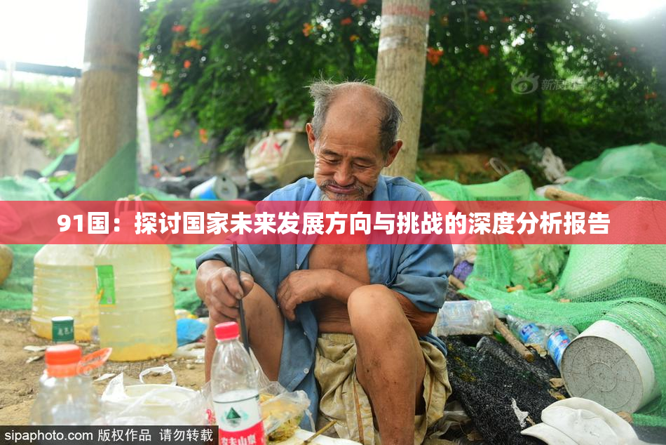 91国：探讨国家未来发展方向与挑战的深度分析报告