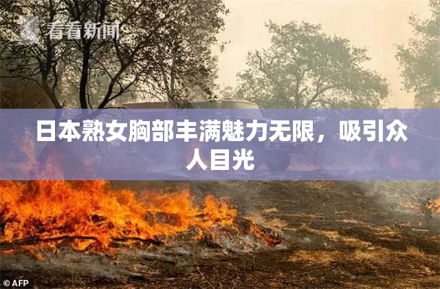 日本熟女胸部丰满魅力无限，吸引众人目光