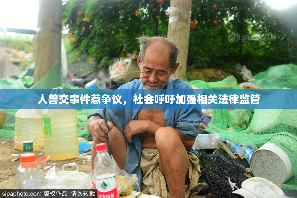 人兽交事件惹争议，社会呼吁加强相关法律监管