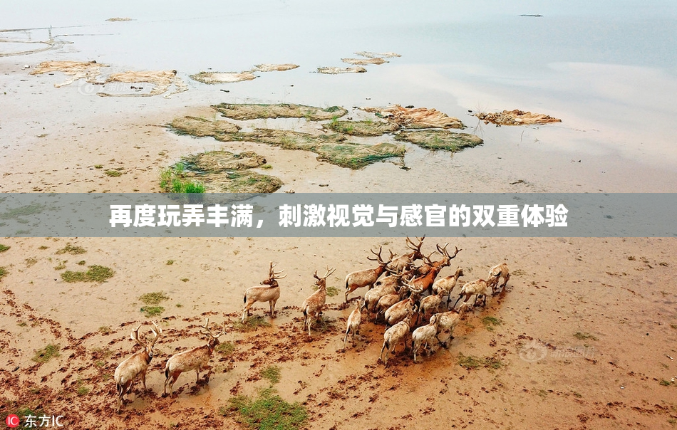再度玩弄丰满，刺激视觉与感官的双重体验