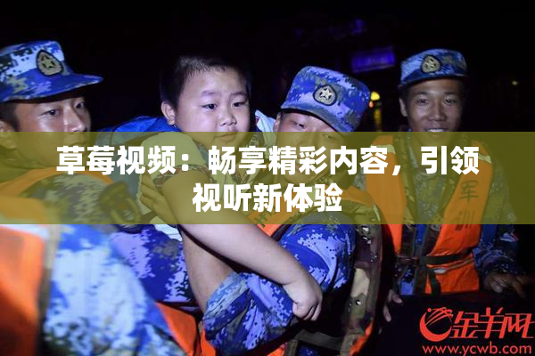 草莓视频：畅享精彩内容，引领视听新体验