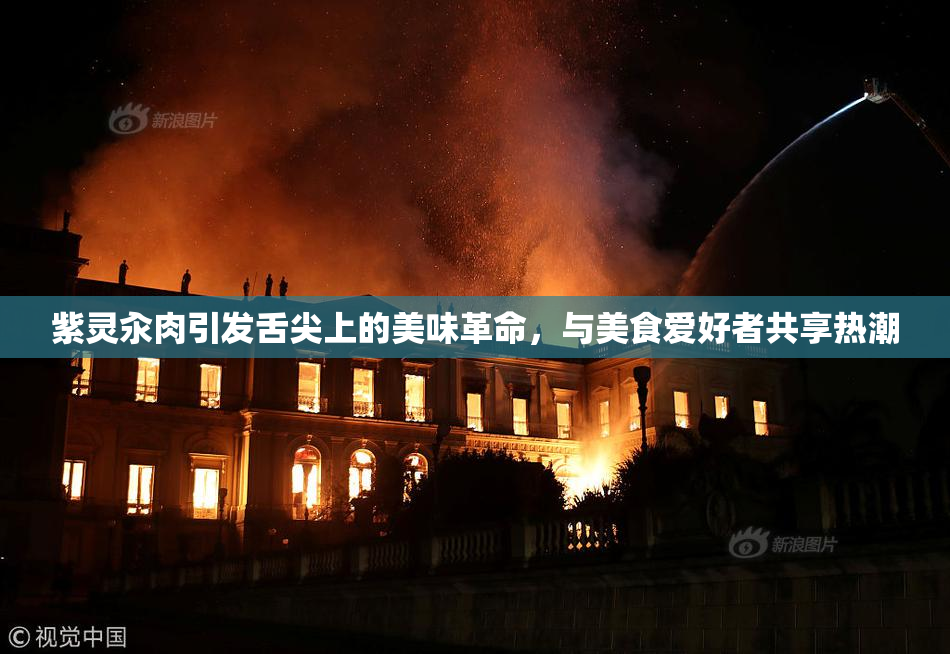 紫灵汆肉引发舌尖上的美味革命，与美食爱好者共享热潮