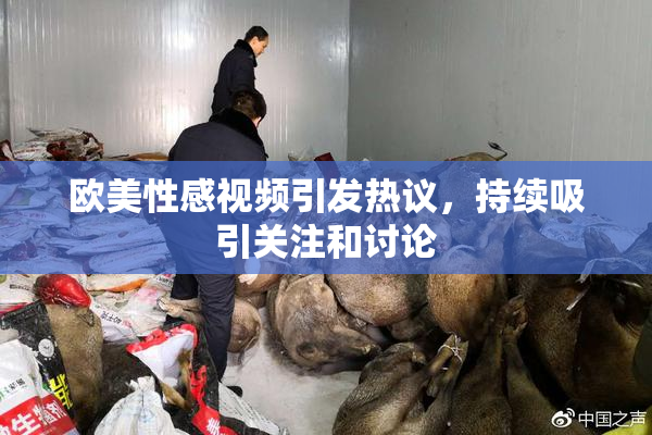 欧美性感视频引发热议，持续吸引关注和讨论