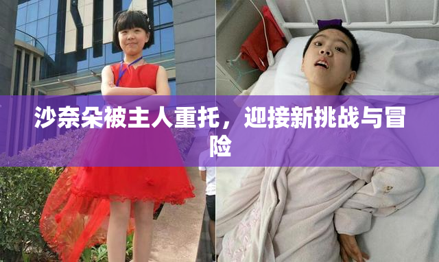 沙奈朵被主人重托，迎接新挑战与冒险