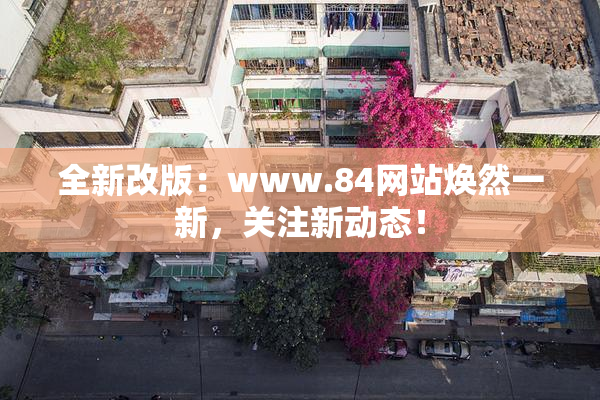 全新改版：www.84网站焕然一新，关注新动态！