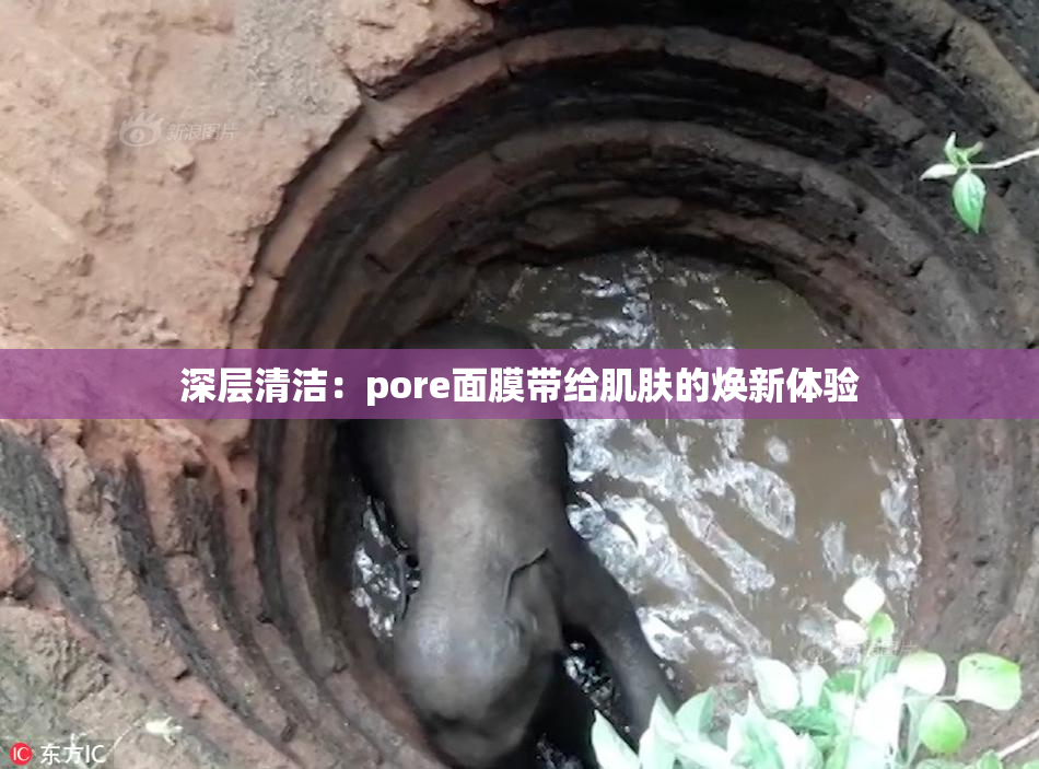 深层清洁：pore面膜带给肌肤的焕新体验