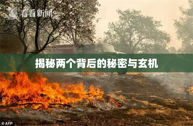揭秘两个背后的秘密与玄机