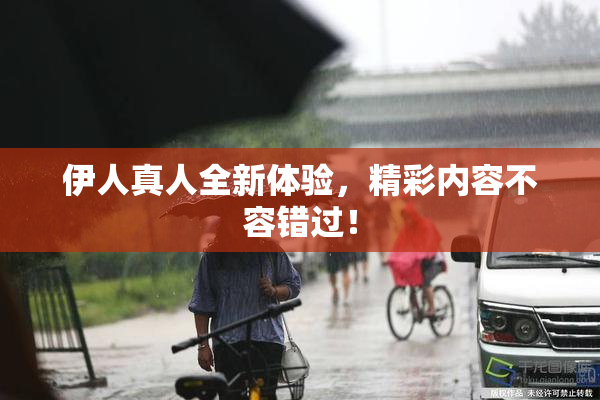 伊人真人全新体验，精彩内容不容错过！