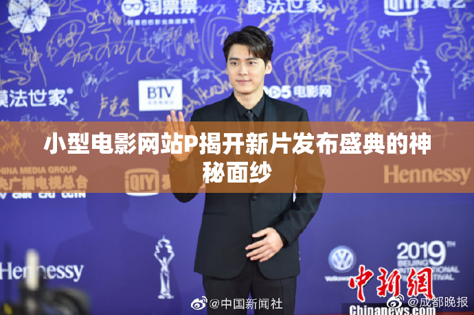 小型电影网站P揭开新片发布盛典的神秘面纱