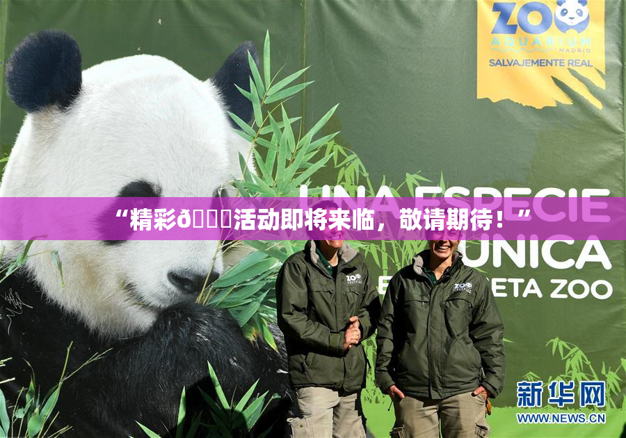 “精彩🈚活动即将来临，敬请期待！”
