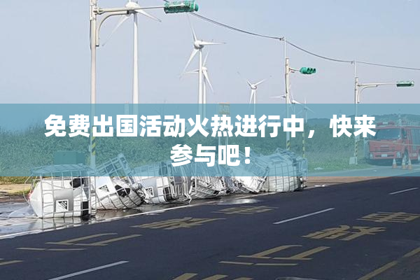 免费出国活动火热进行中，快来参与吧！