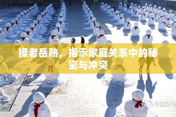 搡老岳熟，揭示家庭关系中的秘密与冲突