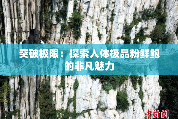突破极限：探索人体极品粉鲜鲍的非凡魅力