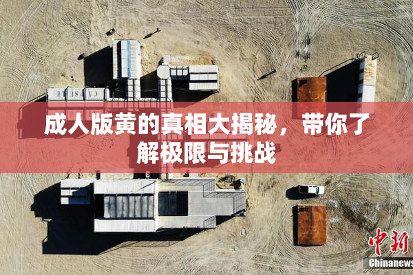 成人版黄的真相大揭秘，带你了解极限与挑战