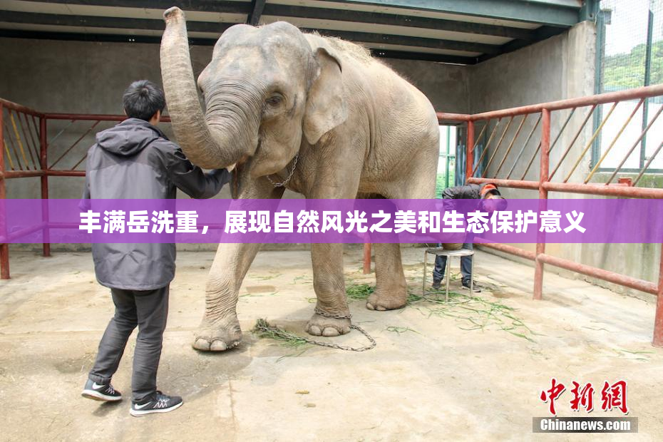 丰满岳洗重，展现自然风光之美和生态保护意义