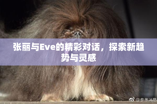 张丽与Eve的精彩对话，探索新趋势与灵感