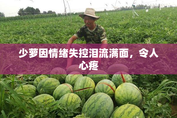 少萝因情绪失控泪流满面，令人心疼